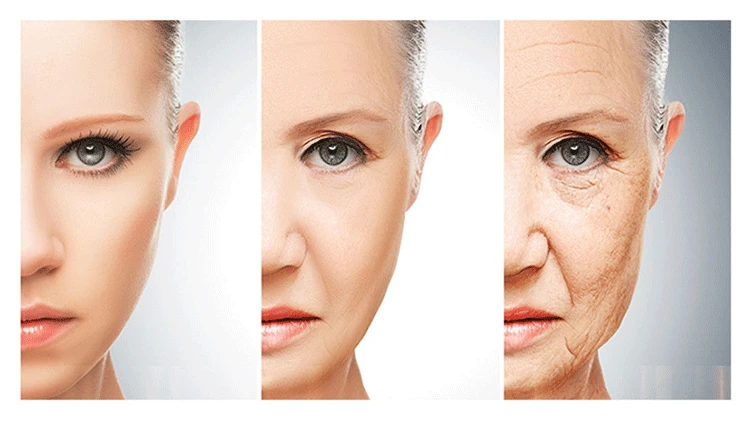 1691144635516650.png b5d54bddedc402491a5b8666428ce5d.png