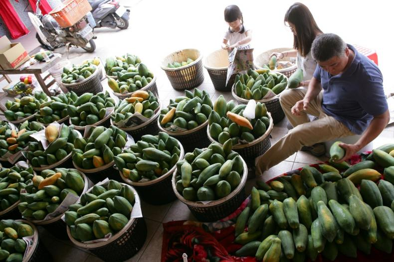 1693728038935856.png 68d2f5618c247df4a0305b7310e1007.png