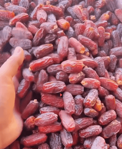 1697807900740172.gif 15.gif