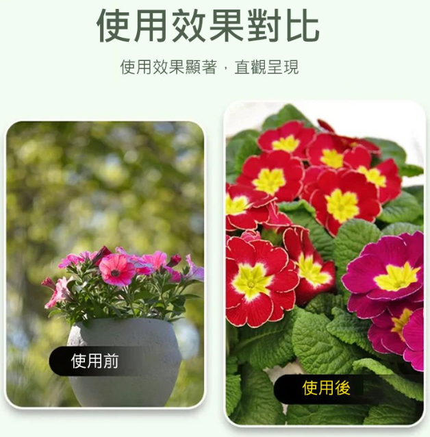 1701334431246343.png e8772cec93479ddec719712e852113c.png