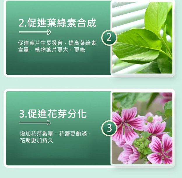 1701334463845034.png bfb1e16c760ea4597961265e4c4102f.png