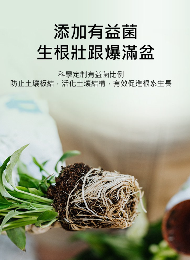 1701334507706852.png 805627dd329b12477232c127c444990.png