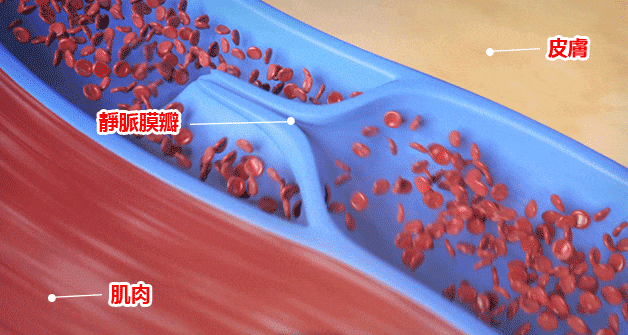 1731472918268600.gif a4a4079ad07c479da7d6013a8b6dda7f.gif